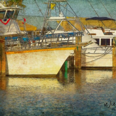 The Dock