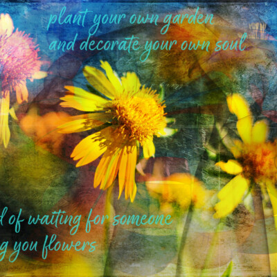 Plant your own garden