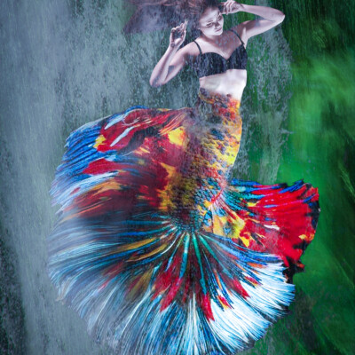 The Mermaid