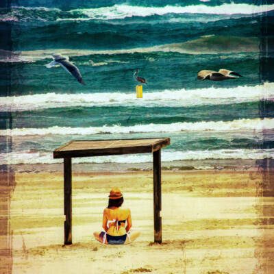 A Day At The Beach