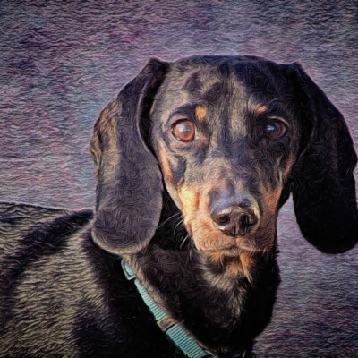 Cooper