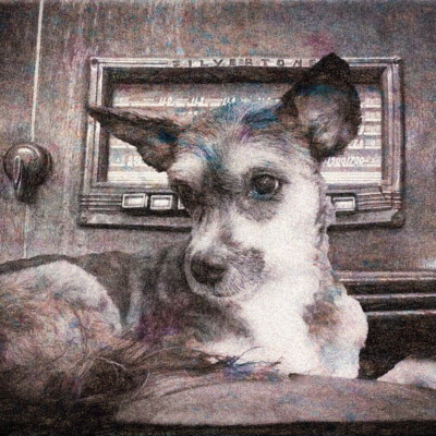 The Silvertone Puppy