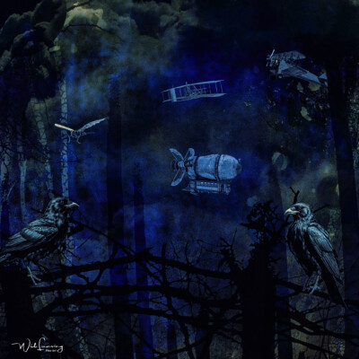 Ravens And Other Flying Machines