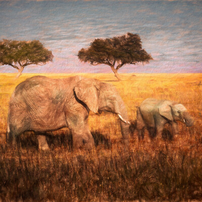 Elephants on the Serengeti