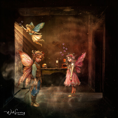 Where the Fairies Hide