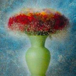 Flowers in a Vase