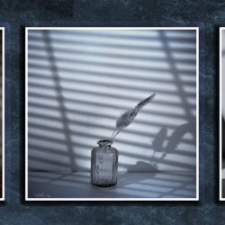 Still Life Tryptic