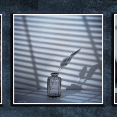 Still Life Tryptic